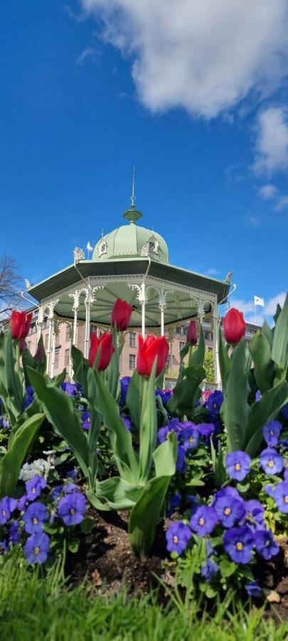 Byleilighet I Sjokanten M Terrasse Bergen Dış mekan fotoğraf