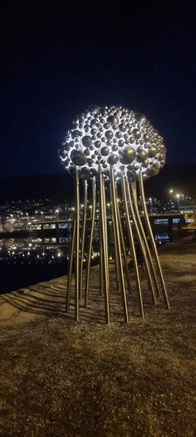 Byleilighet I Sjokanten M Terrasse Bergen Dış mekan fotoğraf